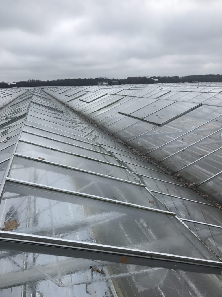 Machinaal reinigen kasdek